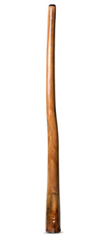 Tristan O'Meara Didgeridoo (TM284)